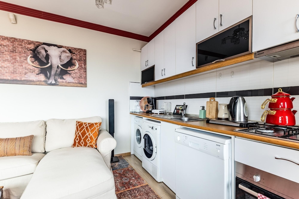 Magnificent Flat With Sea View in Kadikoy