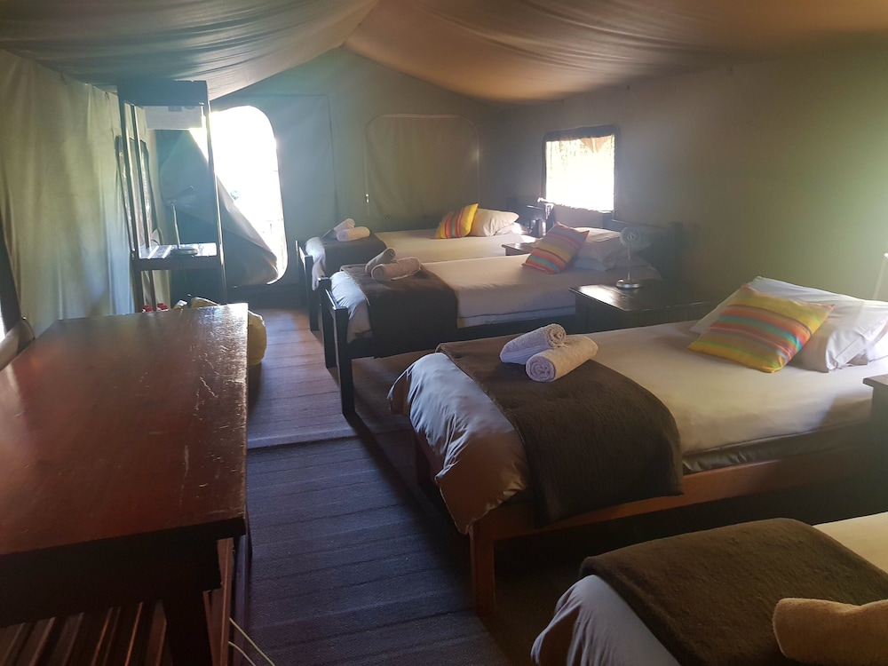 Tri Active Lodge