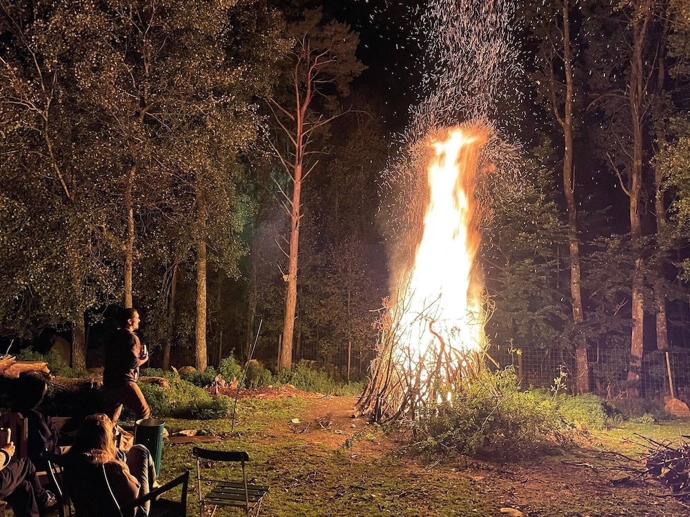 Viltpark Rollerbü Hjortaröd