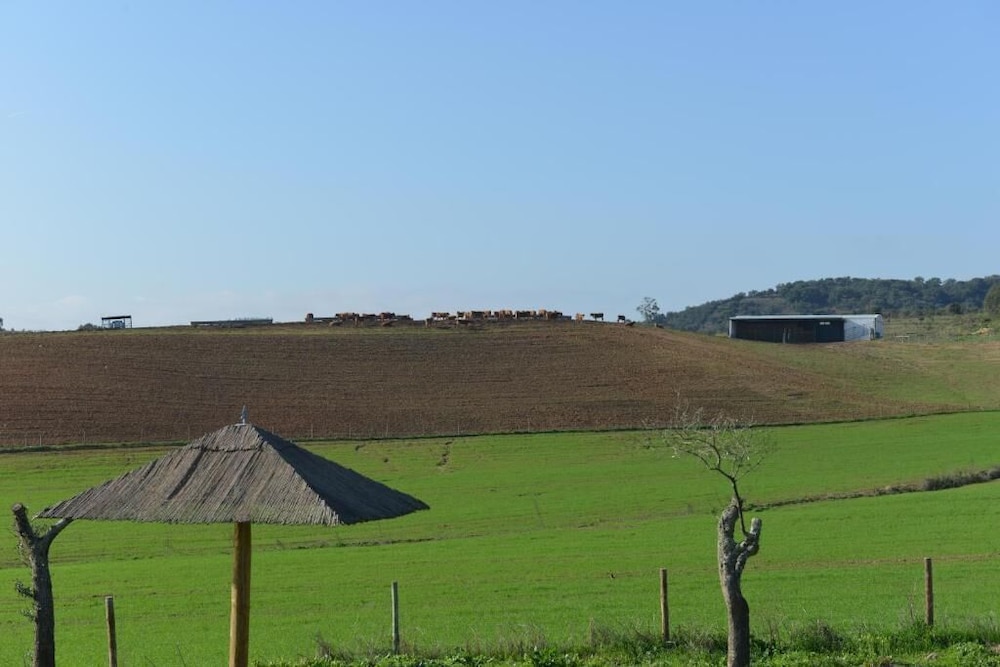 Herdade dos Montes Bastos - Property Image 5