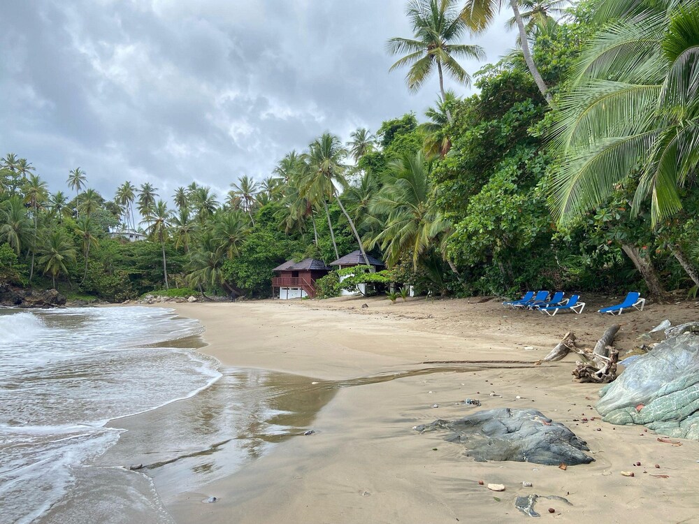 COMFORT APT SAMANA VISTA MARE XI-201