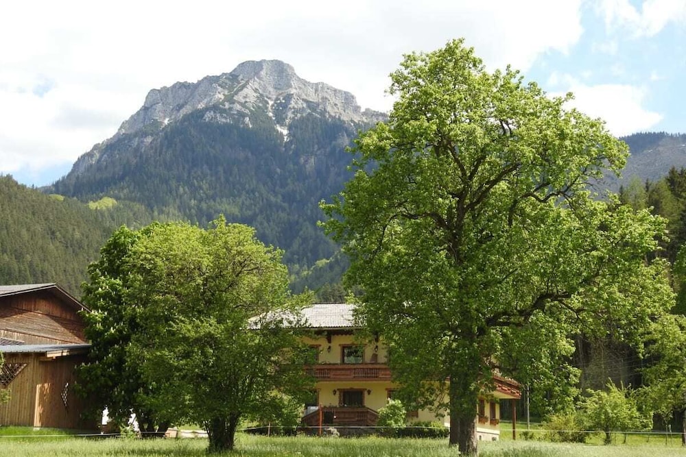 Photo 21
