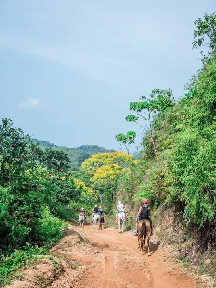 Pura Natura Lodge Arroyo