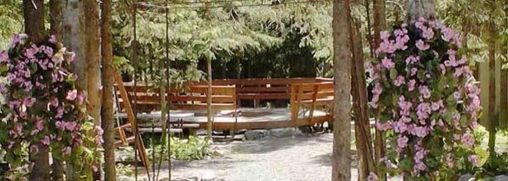 Castle Mountain Ski Lodge - Hostel