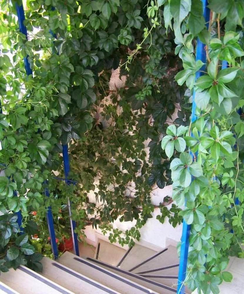 Gianna Studios