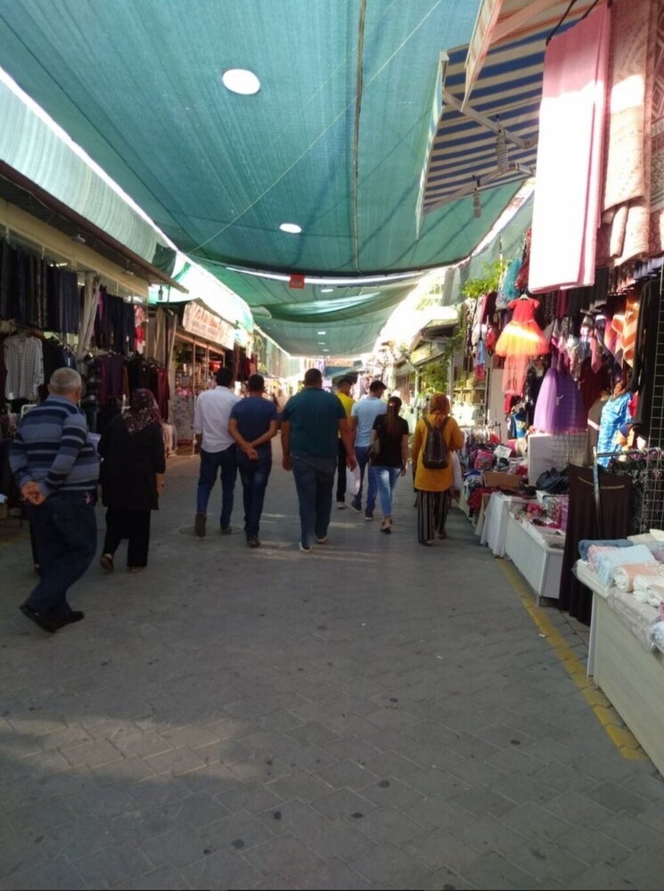 Photo 41