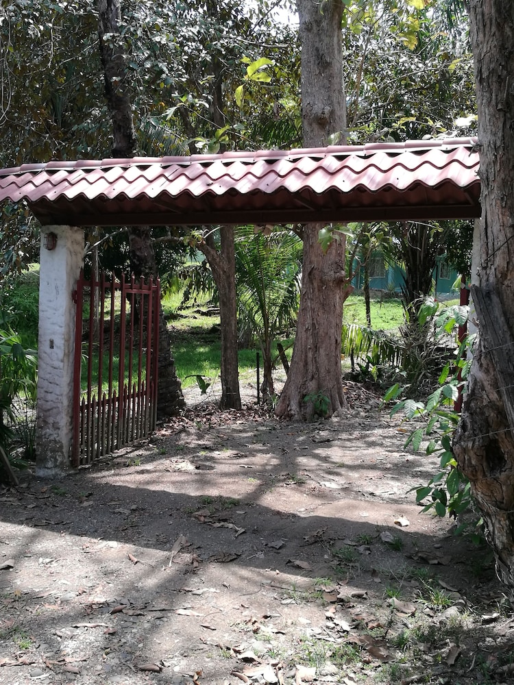 Photo 42