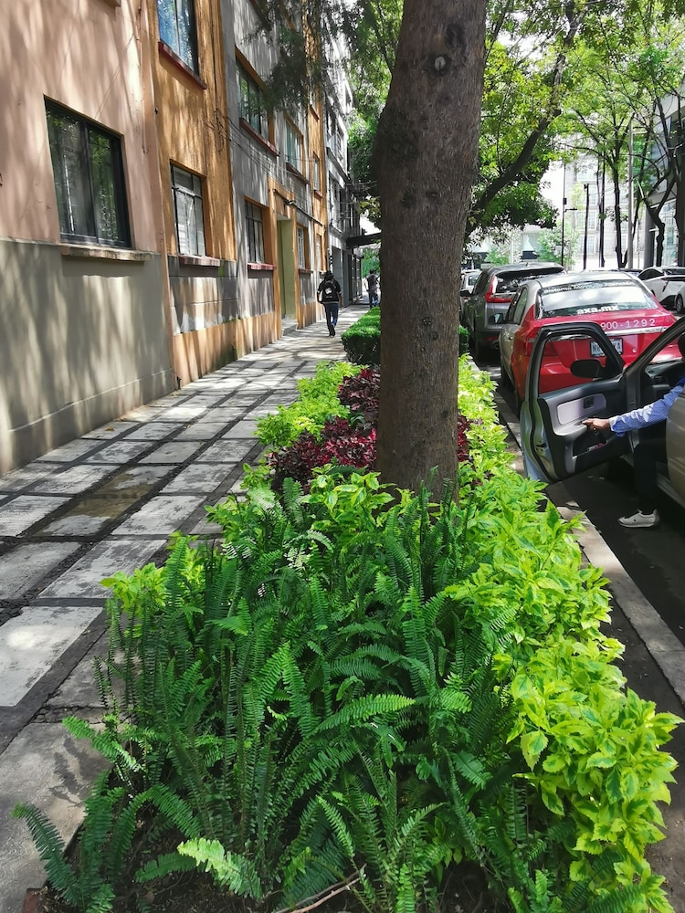 Lety's Place photo 2