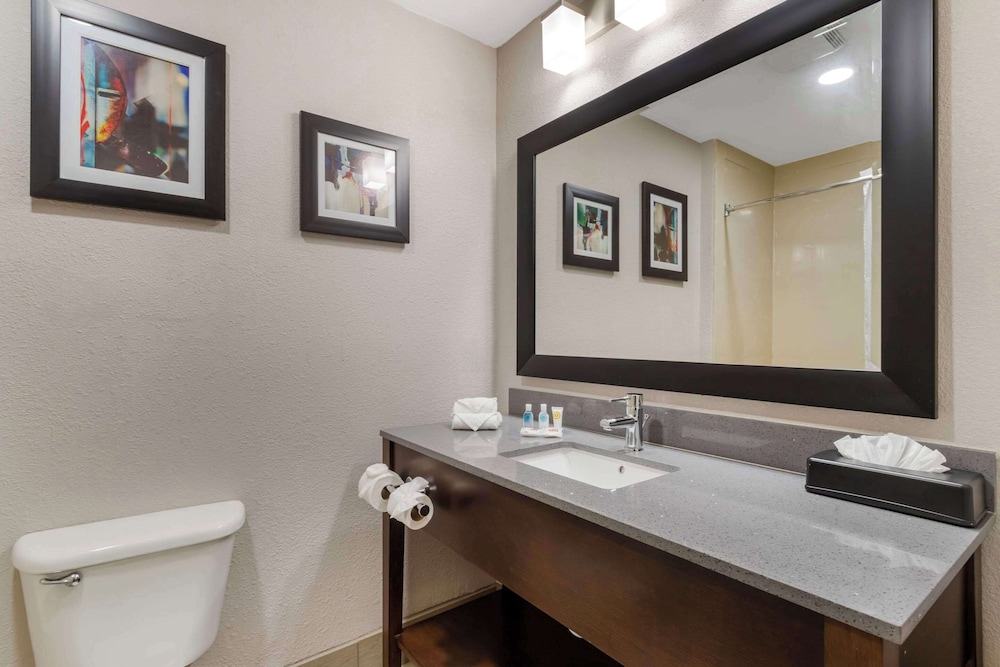 Comfort Suites Shenandoah-The Woodlands - Property Image 35