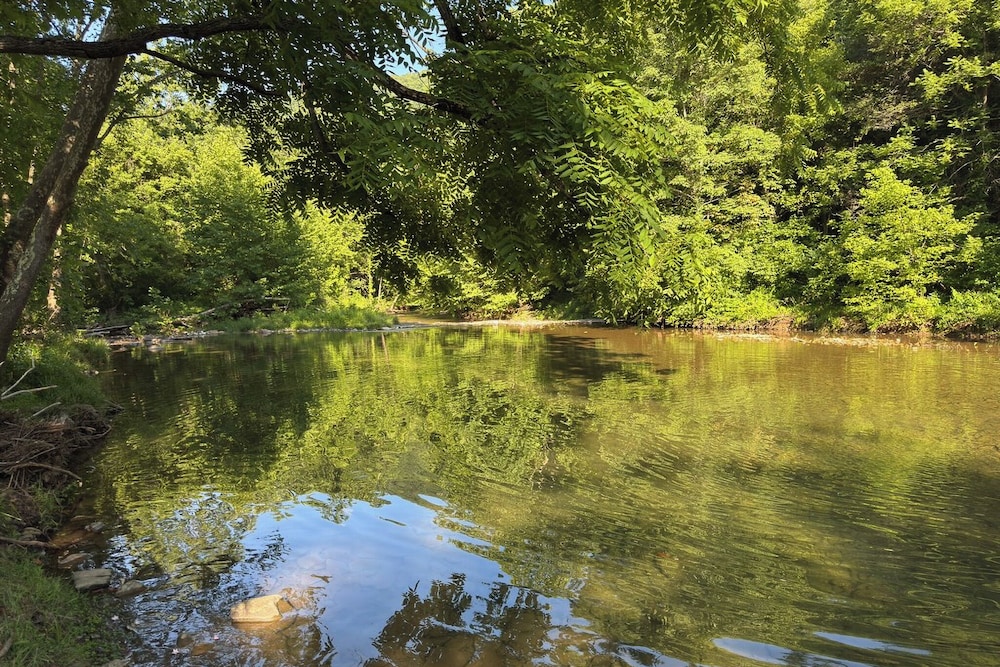 Fish, Hike, Explore: Alleghany Cabin Hideaway