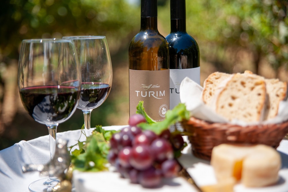 Setubal Vacations - Turim Club dAzeitao Hotel - Property Image 10