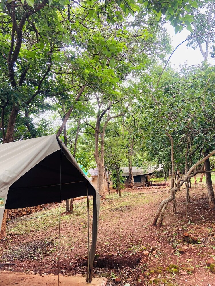 Deanshillsviewlodge