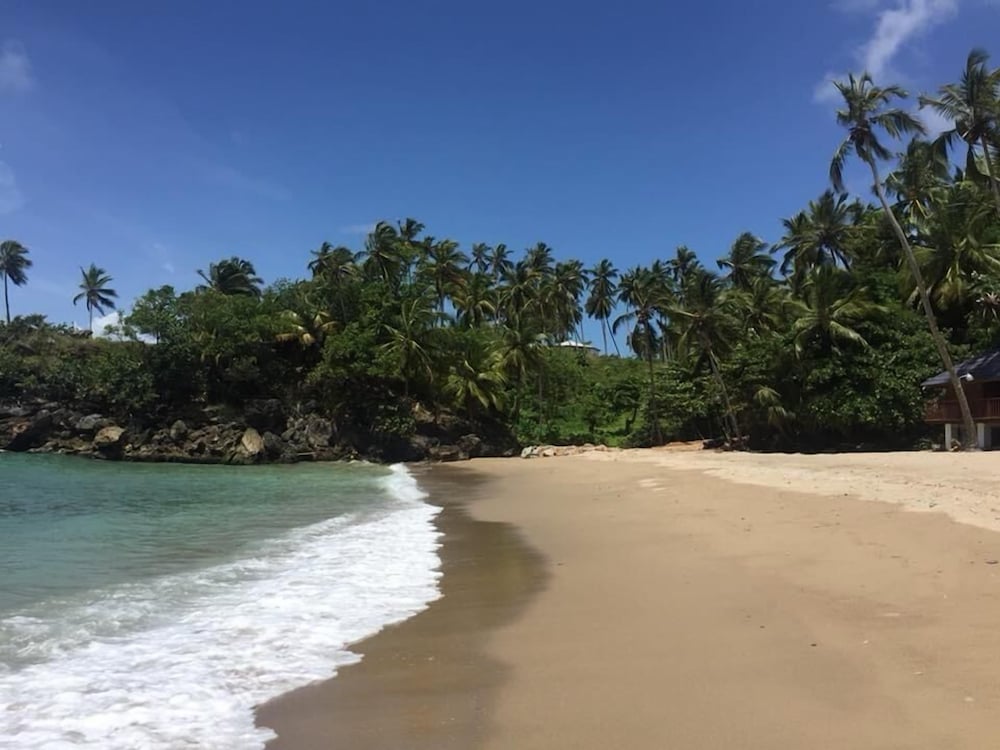 Family apartment Samana 15-301