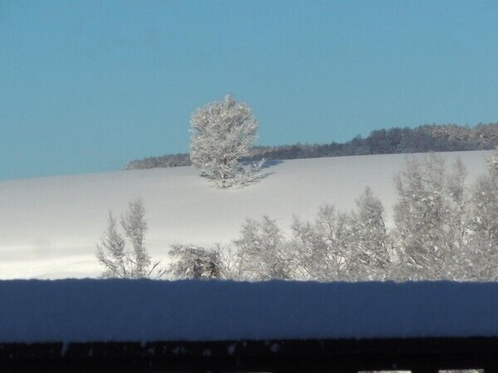 Niseko Villa Nupuri Leben