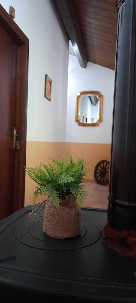 Photo 49