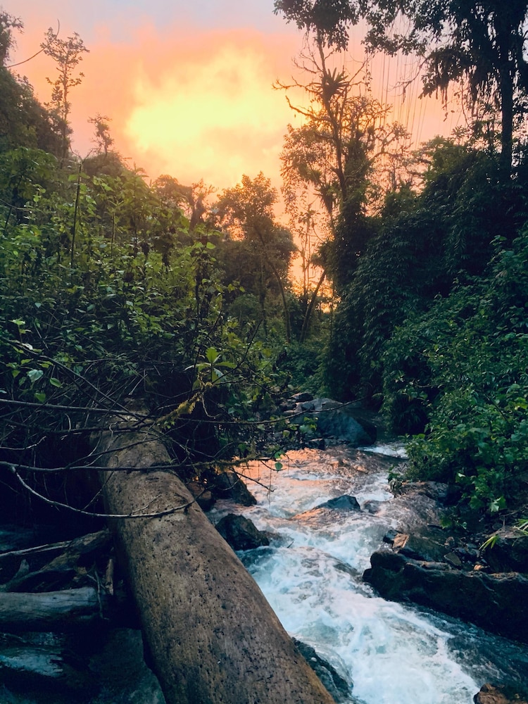 Cotopaxi Rainforest Family Hostel