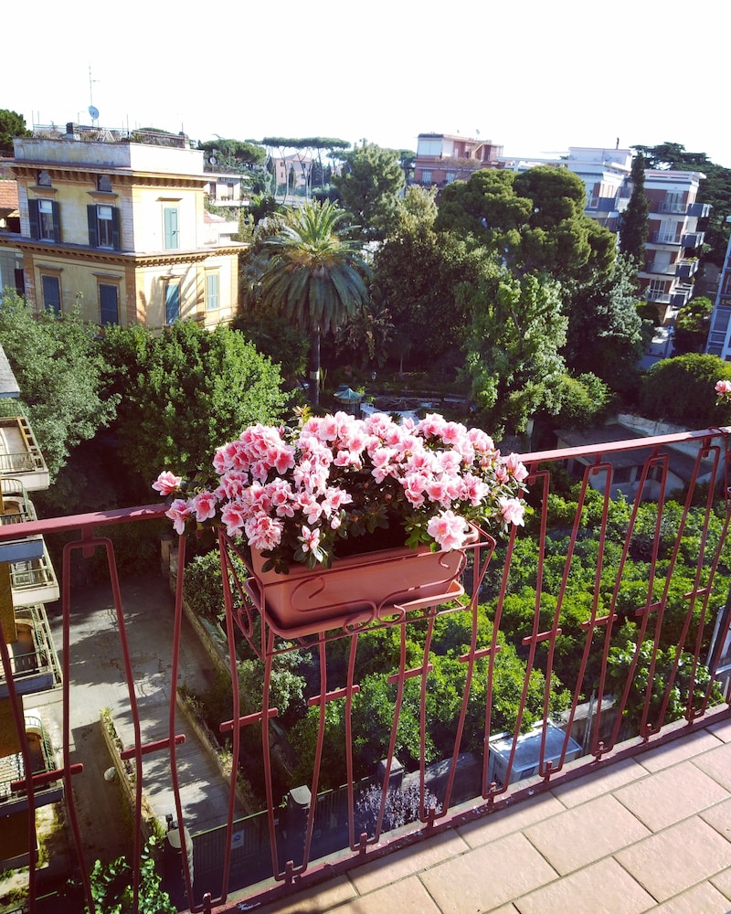 Bblabellavista photo 4