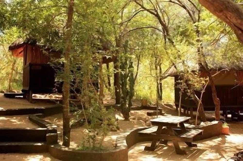 Offbeat Safaris