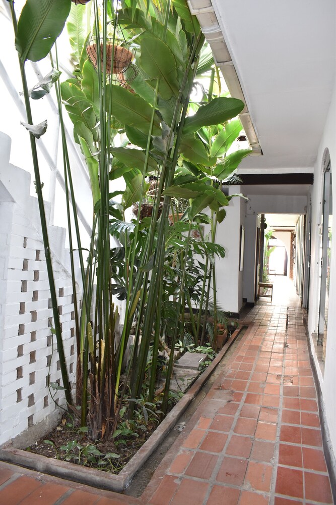 Hostal Chontaduro