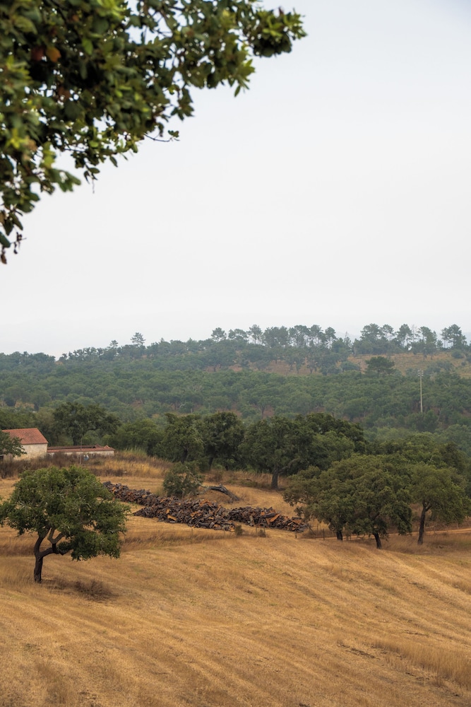 Herdade do Carregouçal