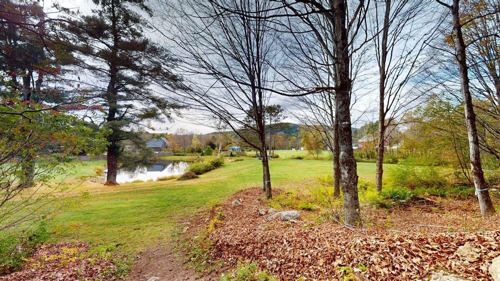 Pond View Cabin in Chittenden