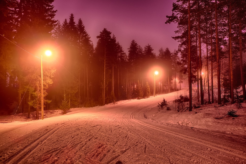 Saimaa Life & Light