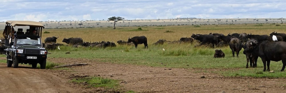Nyota Mara Lodge