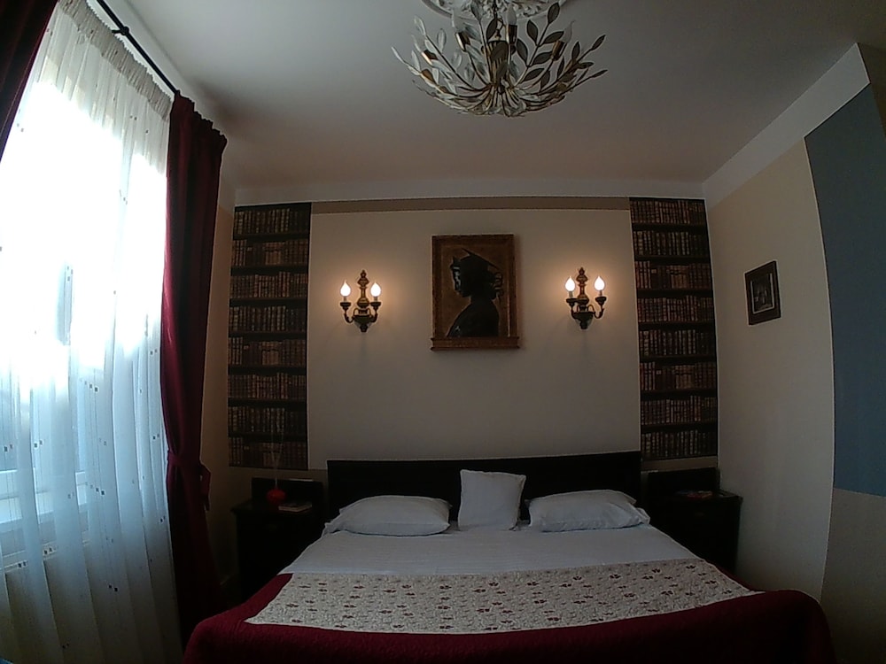 Pensiunea Fortuna view 4