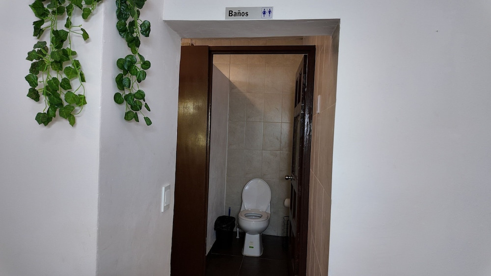 Loft Los Pinos