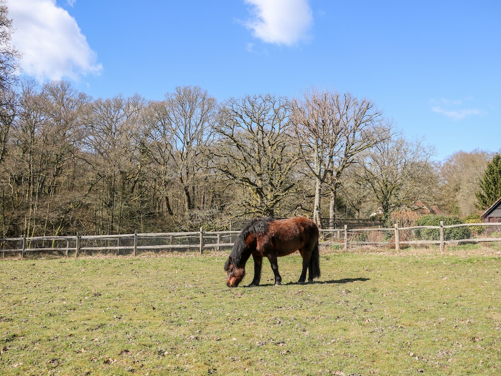 Woodmancote Lodge view 4