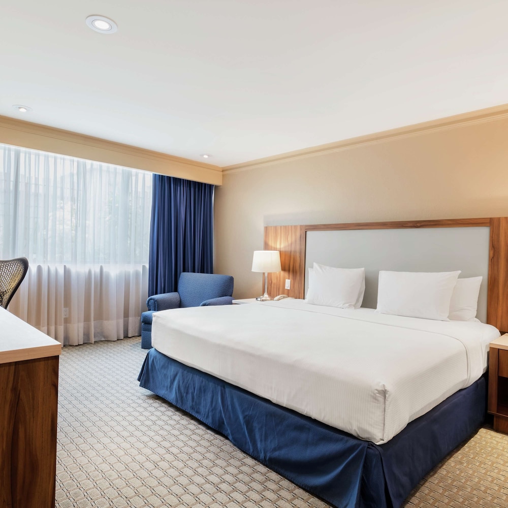 Hilton Mexico City Airport photo 5