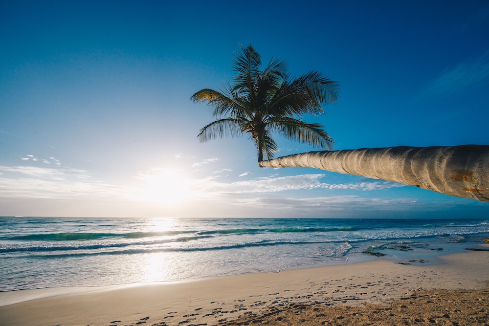 Hotelito Azul - Property Image 74