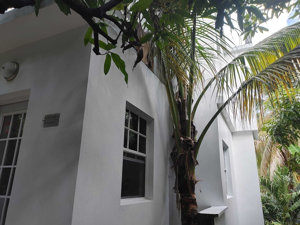 Chez Mango Villas - Photo 55