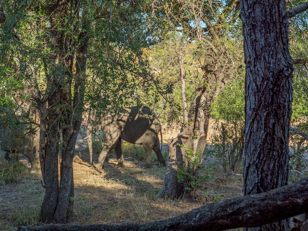 Motswari African Retreat & Walking Safaris by Newmark view 2