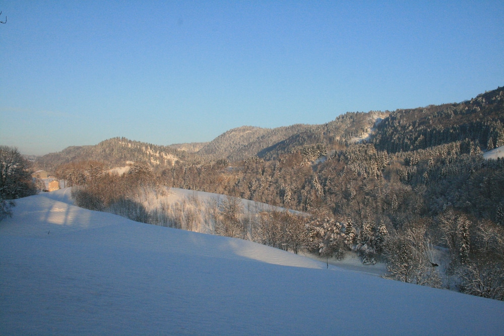Au Coeur du Lapidaire