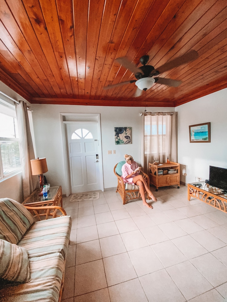 Tropical View Villa - Property Image 10