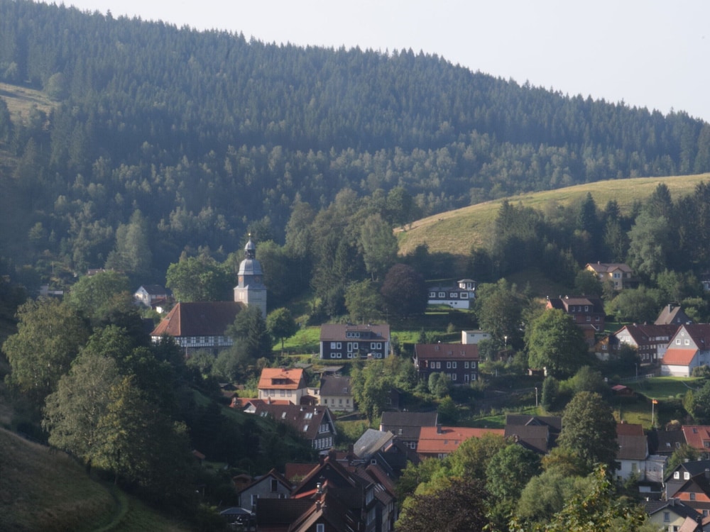 Charming Attic Hideaway, Harz