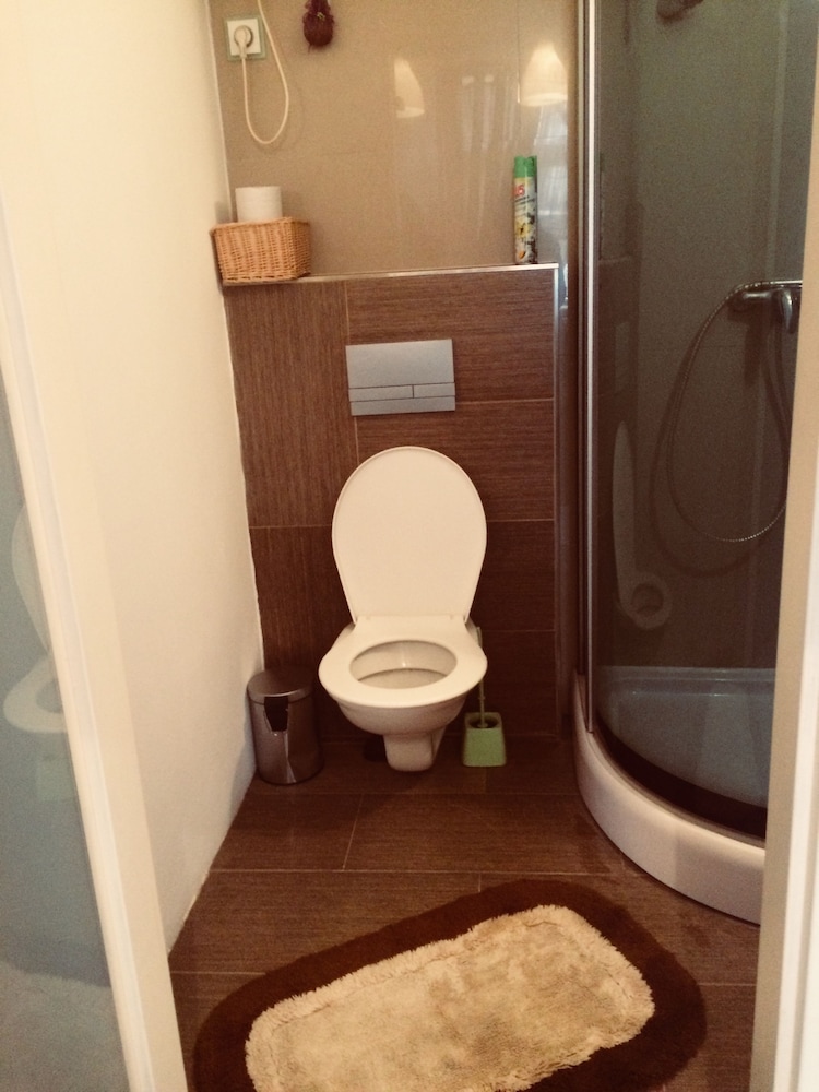 Staré Brno Flat