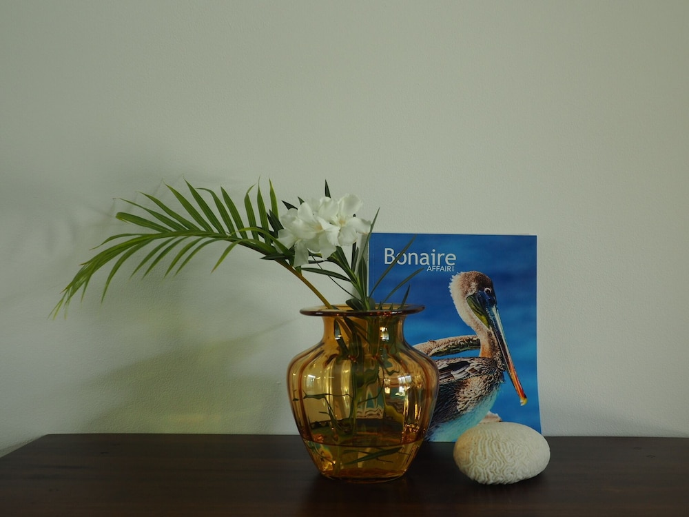 Deluxe Boutique Apartments Sonrisa Bonaire – Adults only view 4