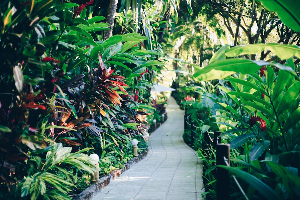 Ylang Ylang Beach Resort