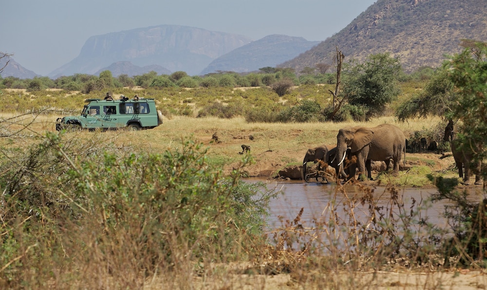 Ashnil Samburu Camp