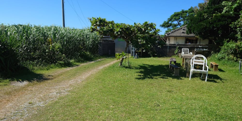 KOURIJIMA Budonoki