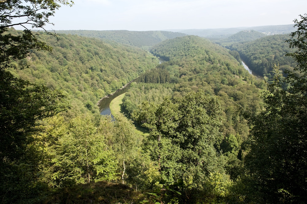 Photo 47
