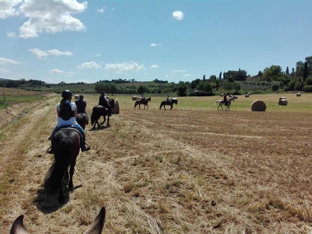 Agriturismo FATTORIA ROZZALUPI