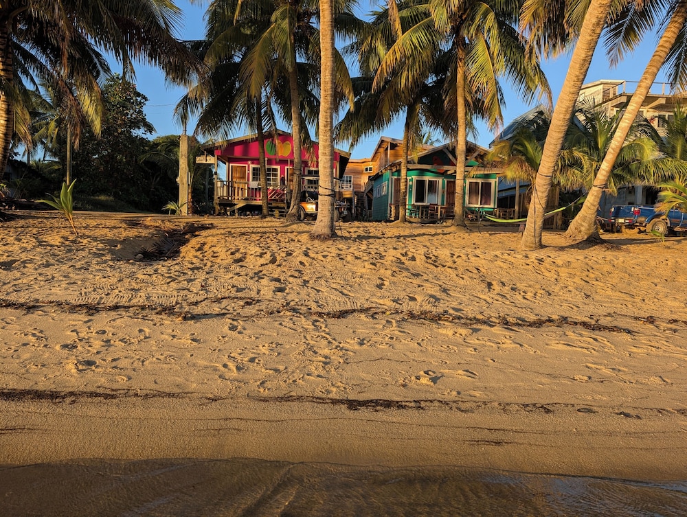 CobiaBeach.com
