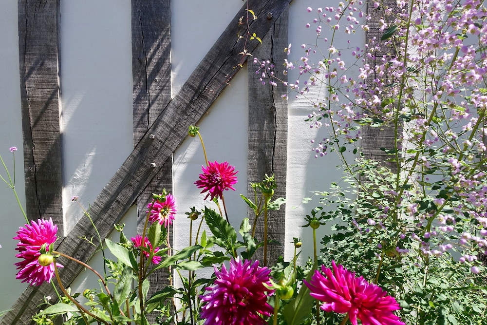 Le Jardin de la Cathédrale