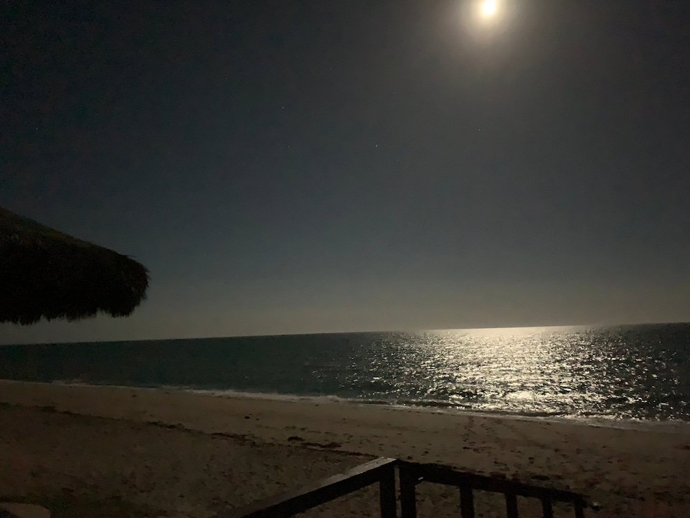 Pura Vida