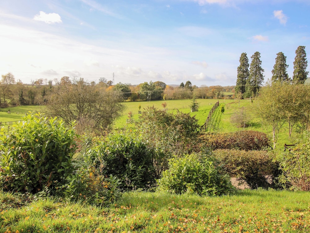 Caynham Court