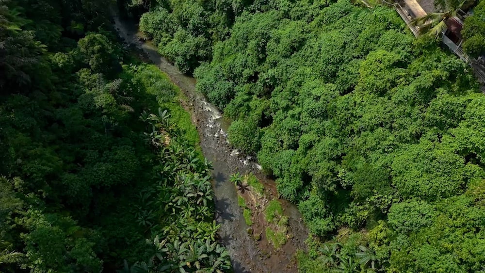 Sumeru Botanical Estate
