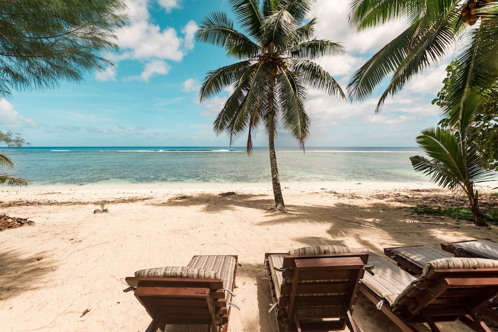 Photo 124